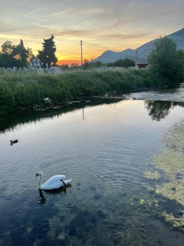 Smjestaj Dada Villa Trebinje Bagian luar foto