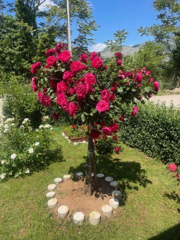 Smjestaj Dada Villa Trebinje Bagian luar foto