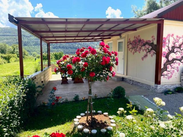 Smjestaj Dada Villa Trebinje Bagian luar foto