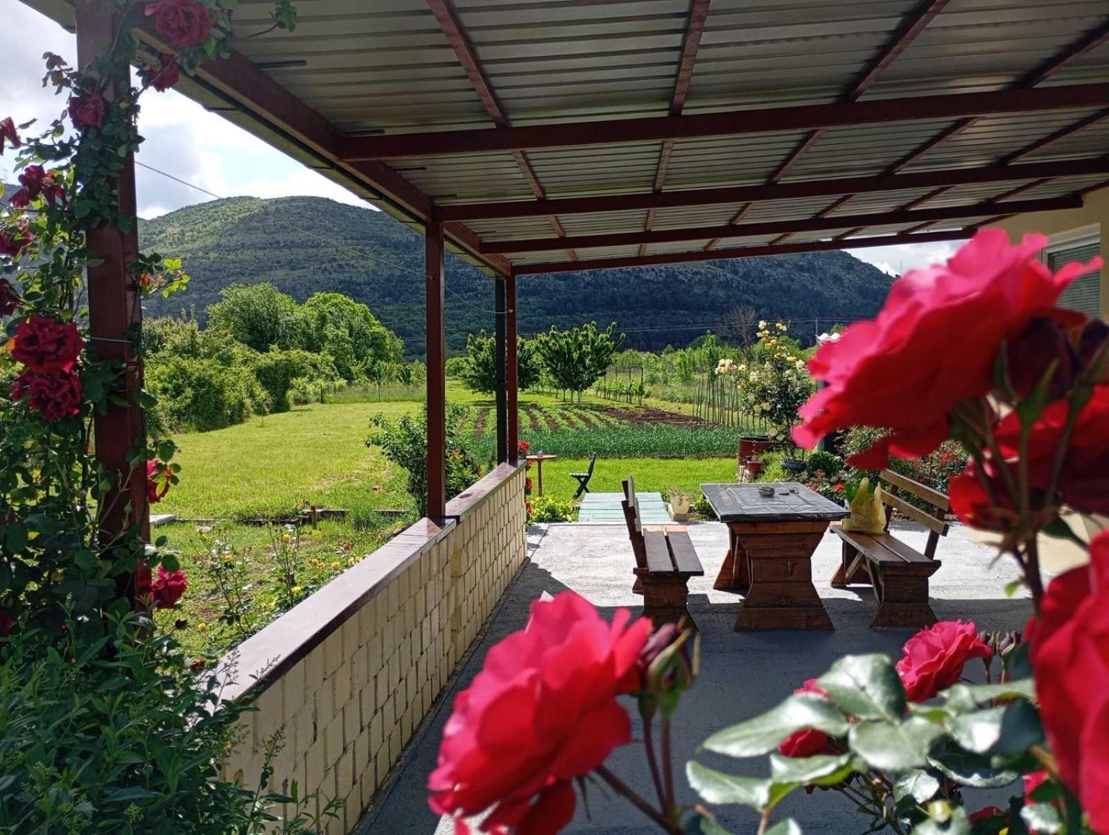 Smjestaj Dada Villa Trebinje Bagian luar foto