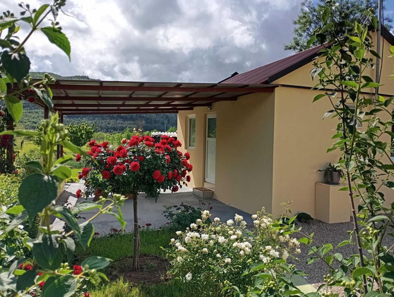 Smjestaj Dada Villa Trebinje Bagian luar foto